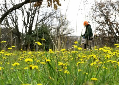 Entretien de jardins - Débroussaillage