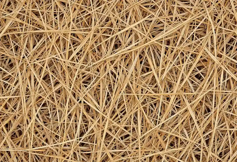 Paillage-en-jardin-mediterraneen-organique-minéral--choisir-Occitanie