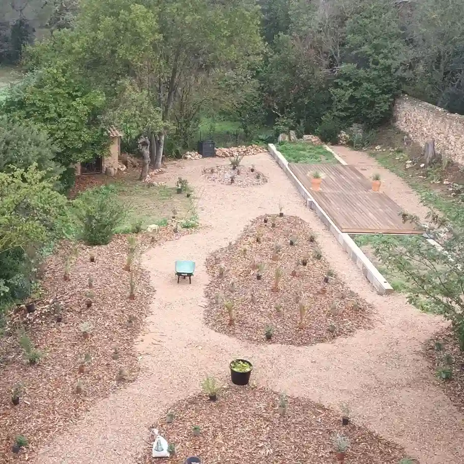 Creer-jardin-mediterraneen-durable-Conseils-paysagiste-Serignan-etude-cas-01-_1__11zon Creer-jardin-mediterraneen-durable-Conseils-paysagiste-Serignan-etude-cas-03-_1__11zon