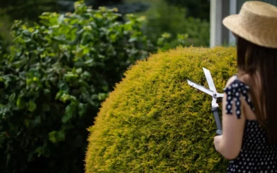 Créer un jardin méditerranéen durable : Conseils d’une paysagiste engagée à Sérignan