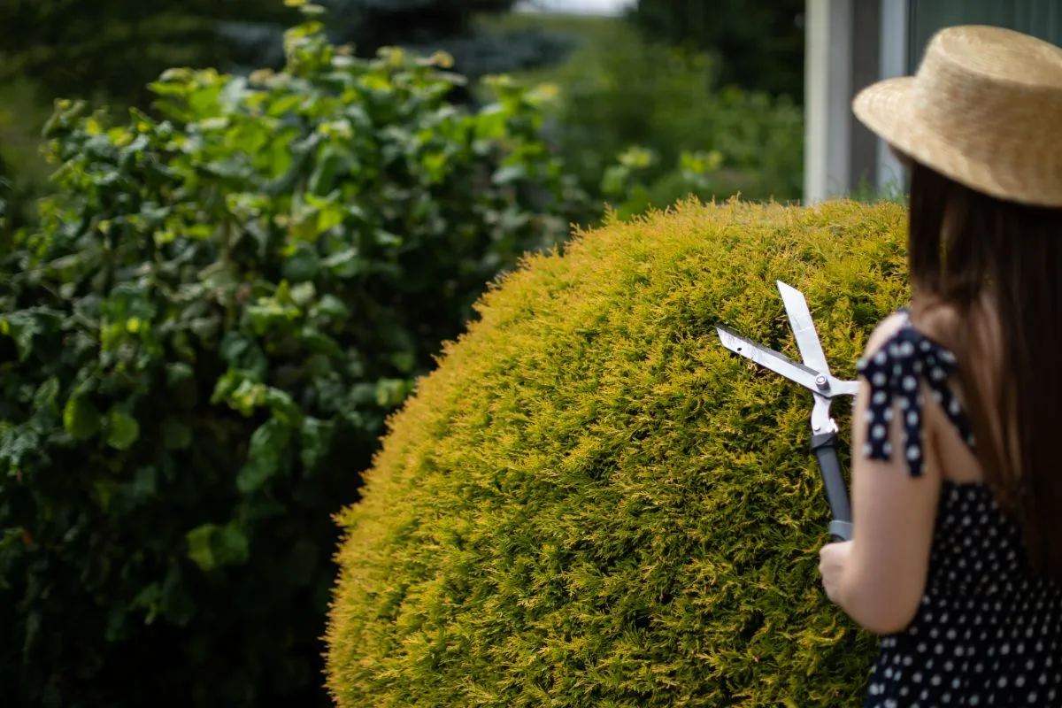 Creer-jardin-mediterraneen-durable-Conseils-paysagiste-Serignan-principal-_1_ Creer-jardin-mediterraneen-durable-Conseils-paysagiste-Serignan-principal-_1_