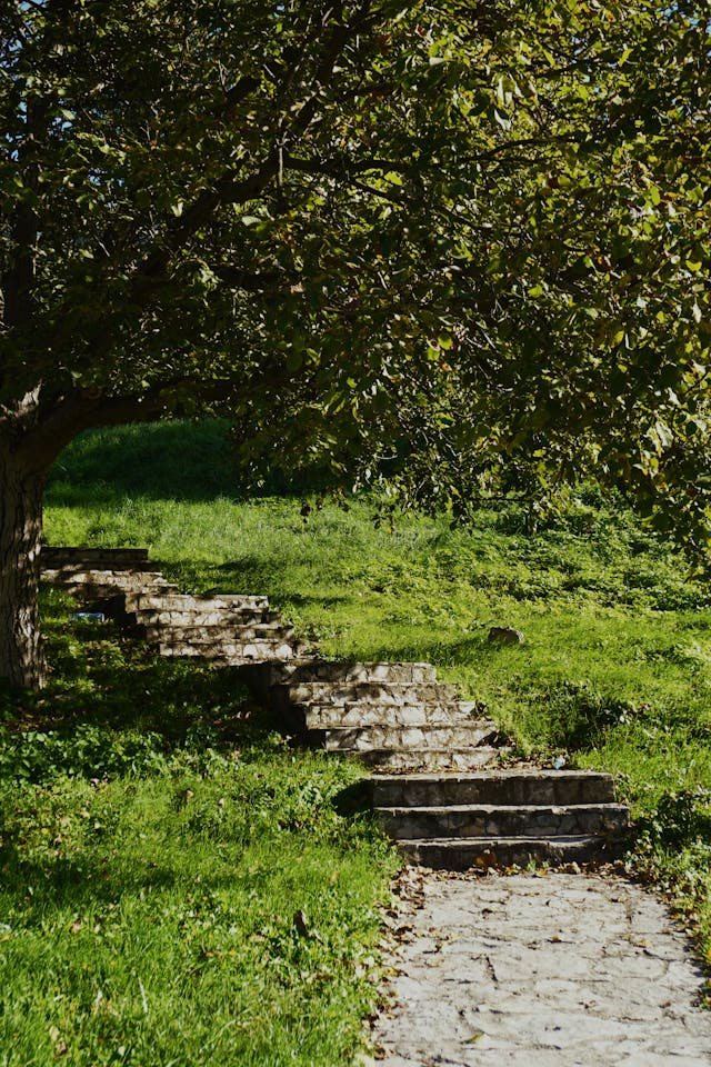 Jardin-adapte-au-climat-de-Béziers