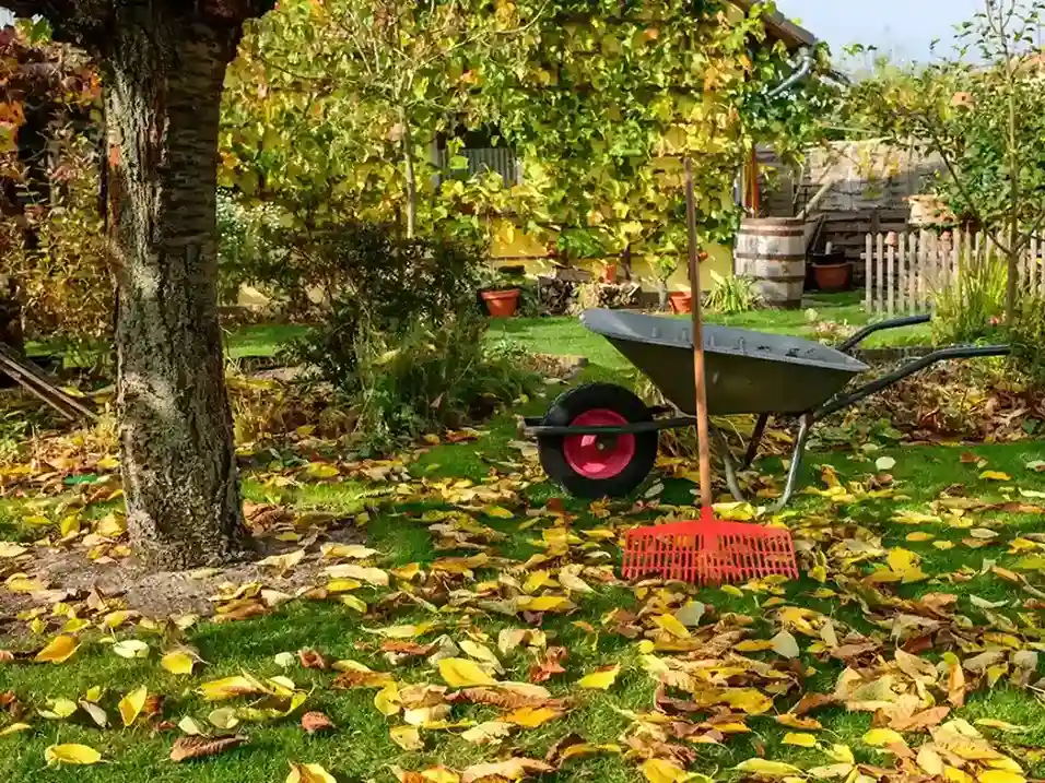 Jardin-automne-entretien-plantation-hiver-amytis_11zon Legumes-frais-structure-bois-lumiere-douce-illustrer-fruit-efforts-automne