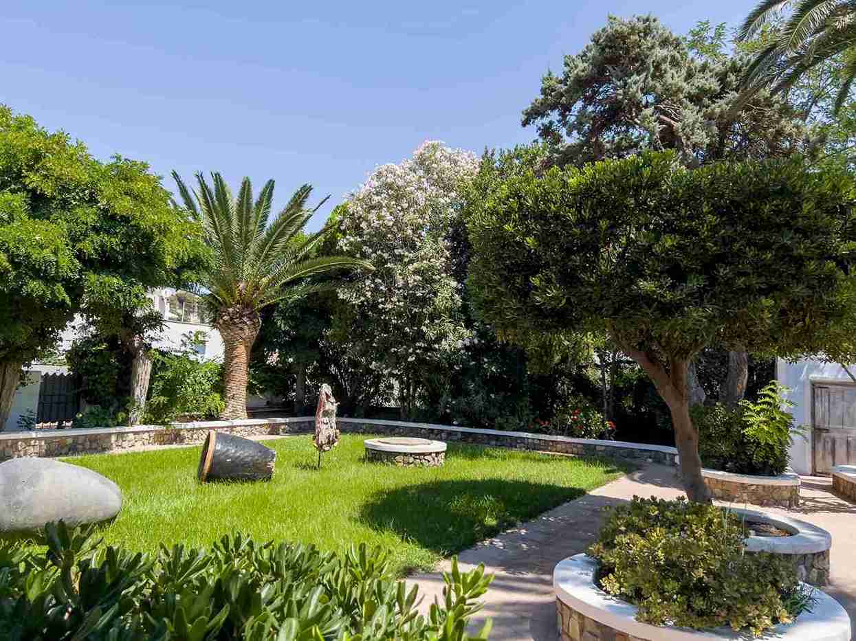 alternative-gazon-jardin-mediterraneen-beziers