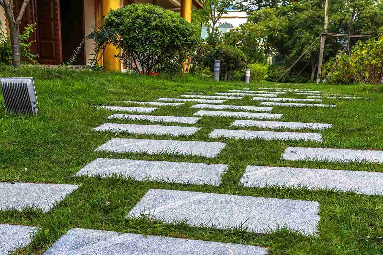 couvre-sol-alternative-pelouse-jardin-mediterraneen