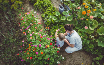 Transformez Votre Jardin : Les Secrets du Jardinage Durable