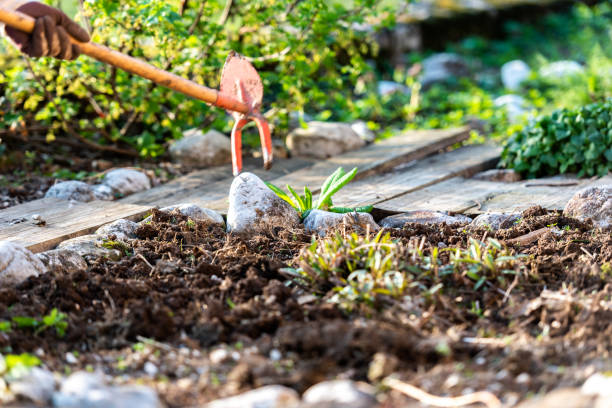 Techniques jardin durable