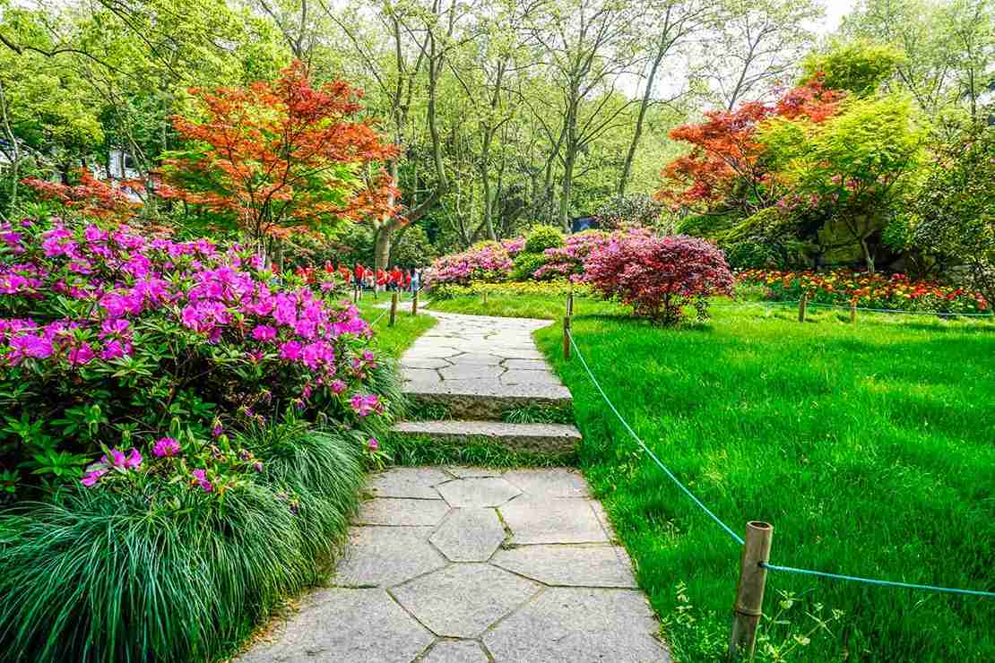 jardin-sans-gazon-massifs-gravier-herault