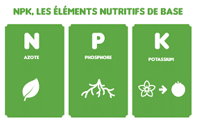 npk-les-elements-nutritifs-de-base