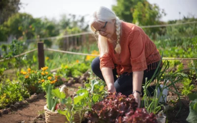 Créer un potager méditerranéen en automne